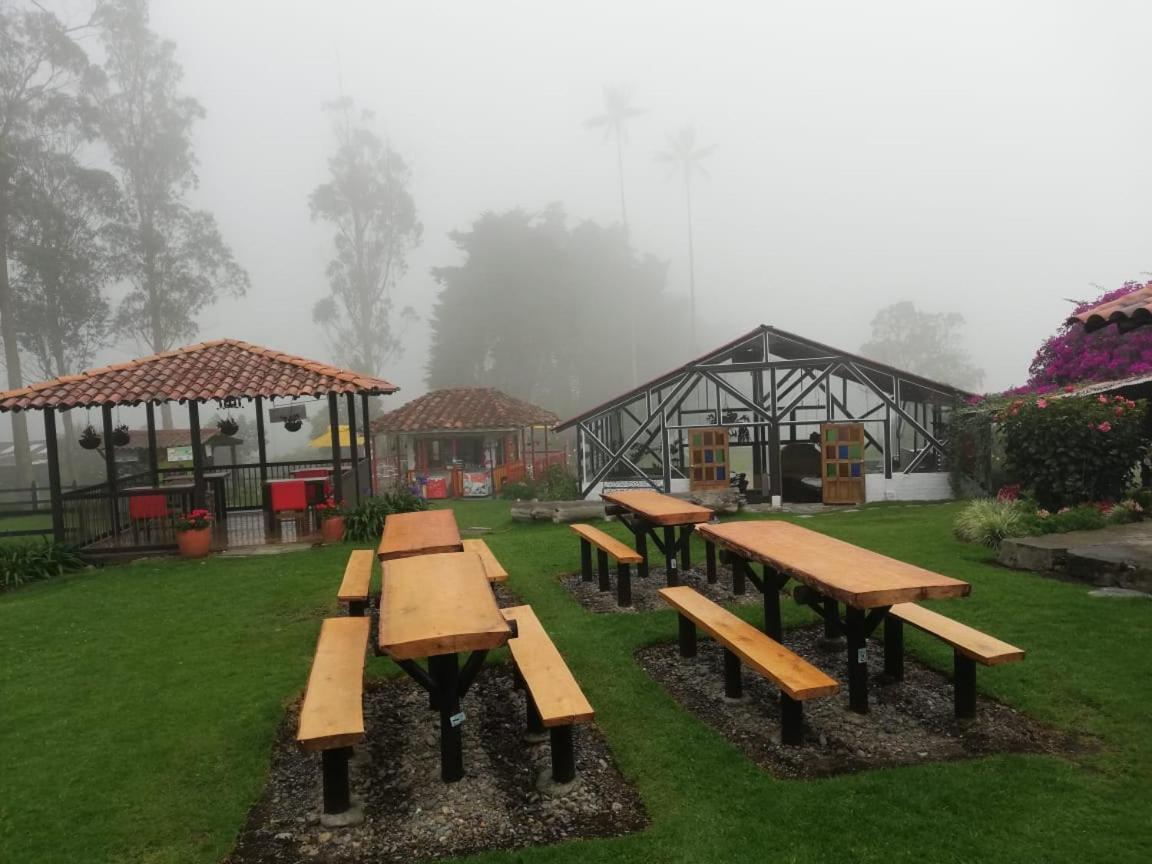 منزل الضيف سالنتو  في Palmas De Cocora المظهر الخارجي الصورة